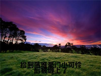 卫米苏打小说最新章节阅读-捡到落难豪门小可怜后被缠上了全文免费试读