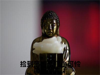 《捡到落难豪门小可怜后被缠上了完整小说》卫米苏打完结版全章节阅读