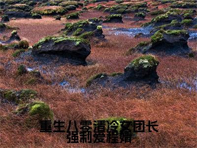 重生八零清冷女团长强制爱程婧（宋旭生程婧）全文免费阅读无弹窗大结局_（宋旭生程婧免费阅读全文大结局）最新章节列表