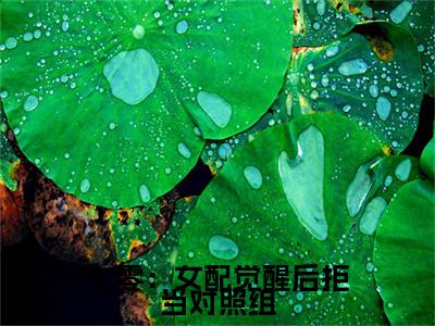七零：女配觉醒后拒当对照组（姜宁周时瑾）小说无删减版免费阅读-姜宁周时瑾精彩章节推荐阅读