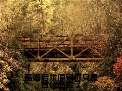秦双（离婚后求原谅你只是替代品罢了）小说免费阅读无弹窗完整版_（离婚后求原谅你只是替代品罢了）秦双最新章节列表笔趣阁