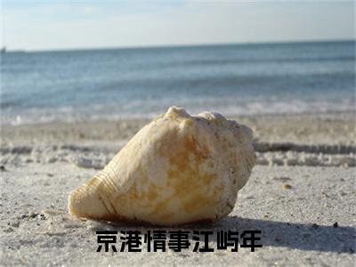 京港情事江屿年（江屿年林娴）全文免费阅读无弹窗大结局_江屿年林娴最新章节列表_笔趣阁（江屿年林娴）