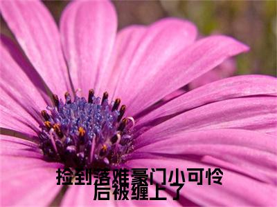 捡到落难豪门小可怜后被缠上了（卫米苏打）全文免费阅读无弹窗大结局_卫米苏打全文在线阅读
