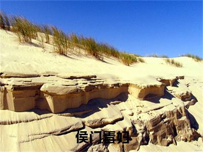 宋清茹（侯门毒妇）全文免费阅读无弹窗大结局侯门毒妇（宋清茹）