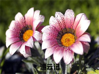 宋知韫裴云熙小说全文无删减-追云记宋知韫裴云熙小说大结局免费阅读