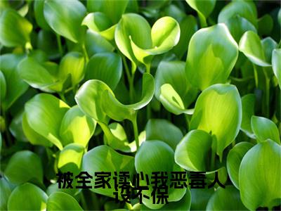 孟枝意沈阙（被全家读心我恶毒人设不保）全文免费阅读大结局_孟枝意沈阙（被全家读心我恶毒人设不保）免费在线阅读_笔趣阁