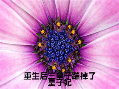 重生后三皇子踹掉了皇子妃（苏璟屹）小说全文免费阅读_（苏璟屹）小说全文无删减版在线阅读