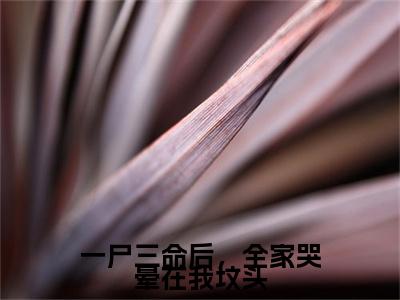 一尸三命后，全家哭晕在我坟头（傅斯年陆倩倩）小说全文-一尸三命后，全家哭晕在我坟头小说免费阅读大结局