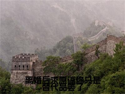 秦双（离婚后求原谅你只是替代品罢了）全文免费阅读无弹窗大结局_离婚后求原谅你只是替代品罢了最新章节列表（秦双）