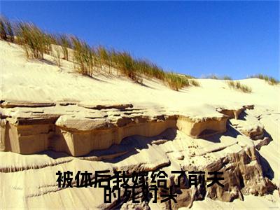 被休后我嫁给了前夫的死对头（陆谦江清清）全文小说-被休后我嫁给了前夫的死对头小说最新章节免费阅读（免费）+（全文）