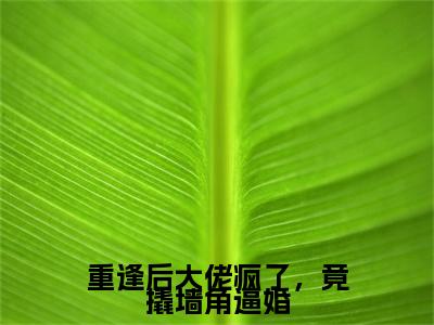 禾念安傅璟忱（重逢后大佬疯了，竟撬墙角逼婚）免费阅读无弹窗大结局-重逢后大佬疯了，竟撬墙角逼婚（最新全章节大结局）全文阅读