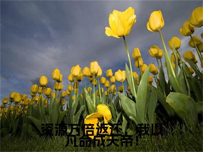 热门小说秦谦全文免费阅读无弹窗大结局-资源万倍返还，我以凡命成天帝！全文无弹窗免费阅读大结局