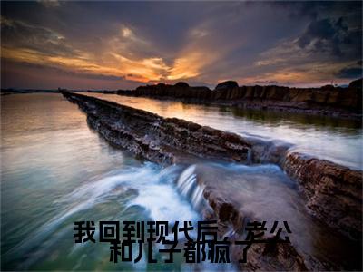 宋吟是什么小说-小说我回到现代后，老公和儿子都疯了全文阅读