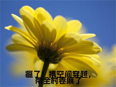 疯了！携空间穿越，带全村卷麻了（洛暖暖）全文免费阅读无弹窗大结局_疯了！携空间穿越，带全村卷麻了全文免费阅读最新章节列表_笔趣阁