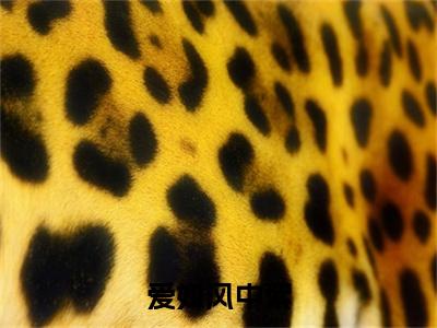 林可儿沈清衍小说免费阅读无弹窗《爱如风中絮》_爱如风中絮全文阅读林可儿沈清衍