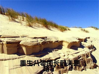 重生八零团长前夫跑路了小说全文免费阅读小说周颂年郑竹心热门小说完整版阅读