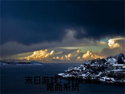 末日游戏：开局激活氪命系统小说（苏译）全文免费阅读无弹窗大结局_苏译小说最新章节列表