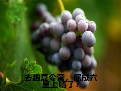 去趟夏令营，你成六星上将了？（张岩）全文免费阅读无弹窗大结局_张岩小说免费最新章节列表_笔趣阁