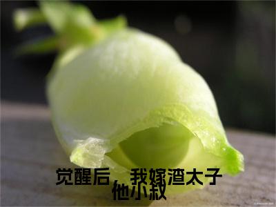 觉醒后，我嫁渣太子他小叔全文免费在线阅读_（燕玥房星绵全文免费阅读无弹窗大结局）觉醒后，我嫁渣太子他小叔最新章节列表笔趣阁