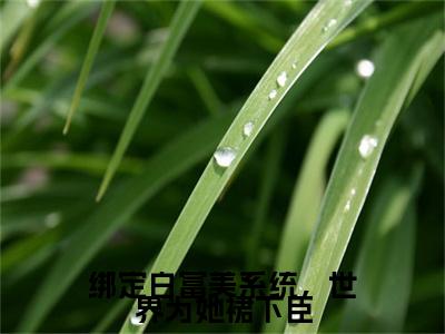 绑定白富美系统，世界为她裙下臣热文小说全文阅读-精彩美文宋挽免费阅读