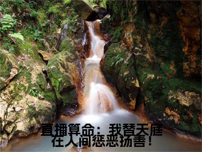 孙小圣（直播算命：我替天庭在人间惩恶扬善！）高质量小说免费阅读-主角是孙小圣的小说叫什么名字（直播算命：我替天庭在人间惩恶扬善！）