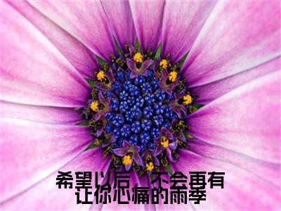 祝卿欢梁思聿全文免费阅读无弹窗大结局_希望以后，不会再有让你心痛的雨季最新章节列表_笔趣阁