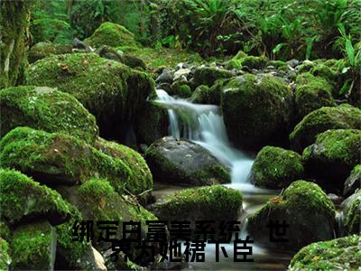 宋挽小说_小说绑定白富美系统，世界为她裙下臣免费阅读最新章节列表（宋挽）笔趣阁