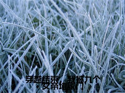 秦念初（穿越结束，我被九个女帝堵家门）小说结局-秦念初全文无弹窗阅读