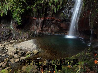 分手后，姜小姐不哭不闹独美小说全文免费阅读_分手后，姜小姐不哭不闹独美（傅晟衍姜绾）最新章节列表在线阅读