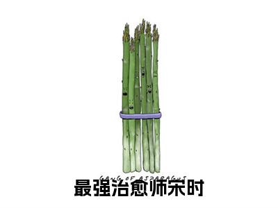 最强治愈师宋时小说全文（宋时）精选免费小说_最强治愈师宋时小说全文最新章节列表