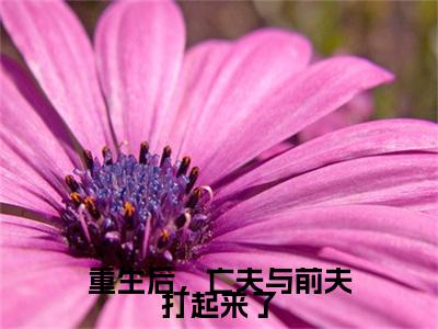 重生后，亡夫与前夫打起来了小说限时免费，甘采儿完结版小说阅读无弹窗_笔趣阁