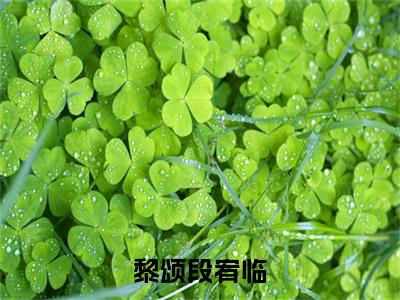 黎颂段宥临（黎颂段宥临）精彩小说-小说黎颂段宥临全文无删减版免费阅读