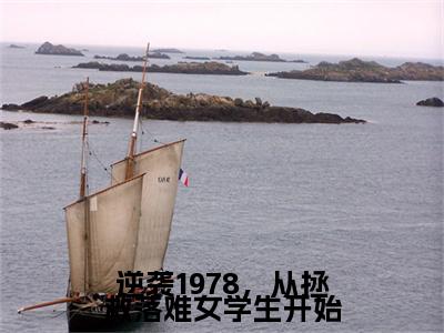 逆袭1978，从拯救落难女学生开始（陈阳）全章节完整版免费小说_逆袭1978，从拯救落难女学生开始最新章节在线阅读_笔趣阁
