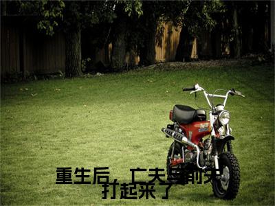 重生后，亡夫与前夫打起来了小说全文免费阅读无弹窗大结局_重生后，亡夫与前夫打起来了甘采儿最新章节列表_笔趣阁（重生后，亡夫与前夫打起来了）