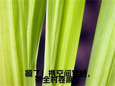 疯了！携空间穿越，带全村卷麻了（洛暖暖）全文免费阅读无弹窗大结局_疯了！携空间穿越，带全村卷麻了最新章节列表-笔趣阁洛暖暖