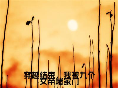 穿越结束，我被九个女帝堵家门（秦念初）全文免费阅读-穿越结束，我被九个女帝堵家门（秦念初）全章节完整版在线阅读