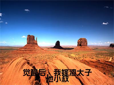 觉醒后，我嫁渣太子他小叔小说燕玥房星绵全文免费阅读（觉醒后，我嫁渣太子他小叔已完结）