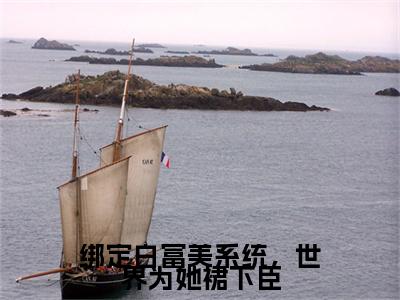 热文宋挽小说全文阅读_绑定白富美系统，世界为她裙下臣（宋挽）全文免费阅读最新章节列表