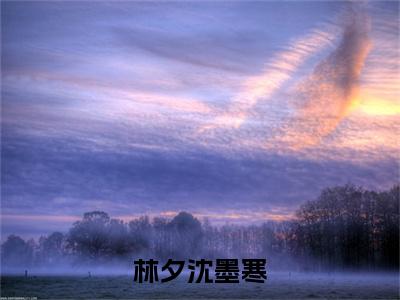 沈墨寒林夕小说全文-林夕沈墨寒精选小说沈墨寒林夕大结局阅读