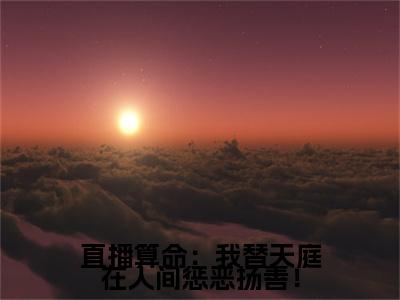 孙小圣（孙小圣）全文免费阅读无弹窗_直播算命：我替天庭在人间惩恶扬善！小说在线阅读_笔趣阁