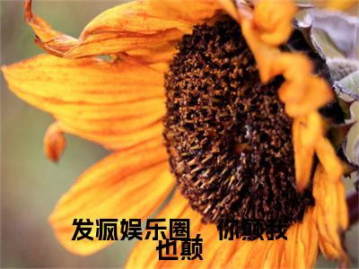 发疯娱乐圈，你颠我也颠小说（周尽珩唐瑶）全文免费阅读无弹窗_（周尽珩唐瑶）发疯娱乐圈，你颠我也颠最新章节列表