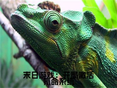 末日游戏：开局激活氪命系统（苏译）小说全文免费阅读无弹窗大结局_末日游戏：开局激活氪命系统全文在线阅读无弹窗