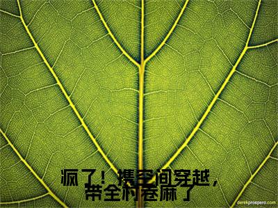 洛暖暖（疯了！携空间穿越，带全村卷麻了）全文小说免费阅读-洛暖暖最新章节列表_笔趣阁