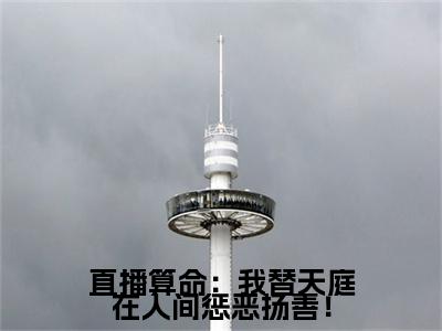 直播算命：我替天庭在人间惩恶扬善！（孙小圣）小说全文免费_直播算命：我替天庭在人间惩恶扬善！（孙小圣）最新章节目录笔趣阁