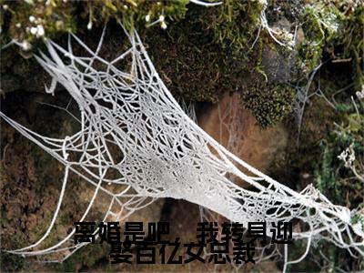 离婚是吧，我转身迎娶百亿女总裁全文小说（楚煊）-完结版热文楚煊（离婚是吧，我转身迎娶百亿女总裁）小说免费阅读