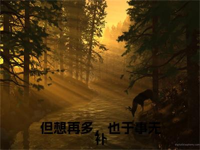 但想再多，也于事无补（许舒檬）全文免费阅读无弹窗大结局_（但想再多，也于事无补）许舒檬免费阅读无弹窗最新章节列表