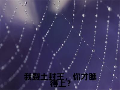 （我裂土封王，你才瞧得上？）完整版小说阅读，萧文进小说精彩免费试读