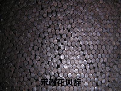 凤辞宋榴花全文免费阅读无弹窗大结局_（宋榴花凤辞阅读无弹窗）宋榴花凤辞最新章节列表