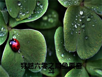 （沈灵肖毅）小说全文免费阅读_沈灵肖毅（穿越六零之咸鱼要奋斗）最新章节热文在线阅读