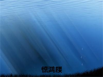 何苒（惊鸿楼）全文免费阅读无弹窗大结局_惊鸿楼（何苒无弹窗）_笔趣阁